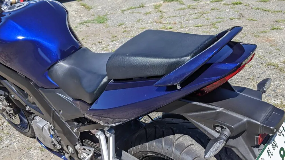 Suzuki SV1000S 2006, фото 2