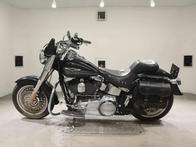 Harley-Davidson FLSTF1580 2008, чёрный, фото 2