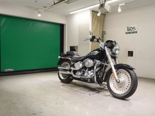 Harley-Davidson FLSTF1580 2008, чёрный, фото 3