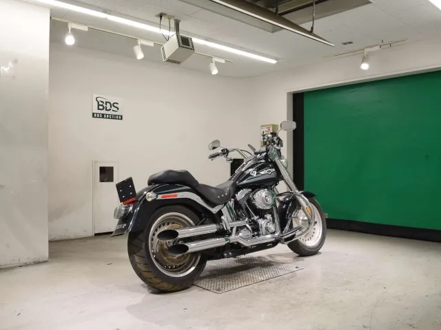 Harley-Davidson FLSTF1580 2008, чёрный, фото 5