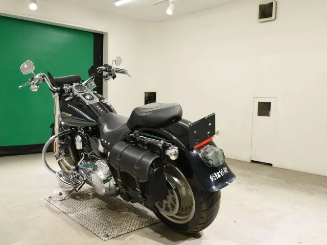 Harley-Davidson FLSTF1580 2008, чёрный, фото 6