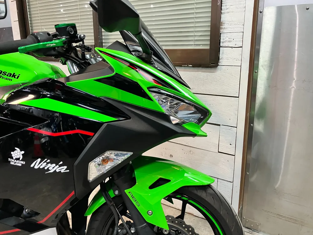 Kawasaki Ninja 400 2022, lime / black, фото 17