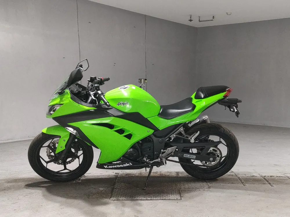 Kawasaki Ninja 250, зелёный, фото 2