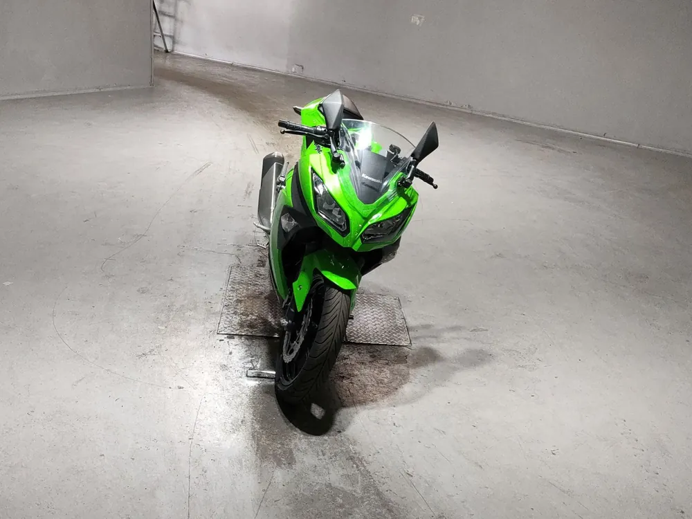 Kawasaki Ninja 250, зелёный, фото 3