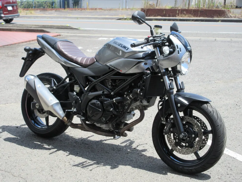 Suzuki SV650 2019, серый, фото 3