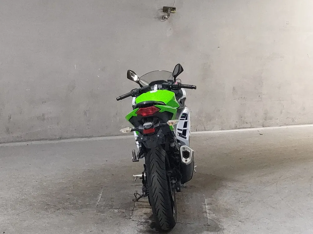Kawasaki Ninja 250, white/green, фото 4