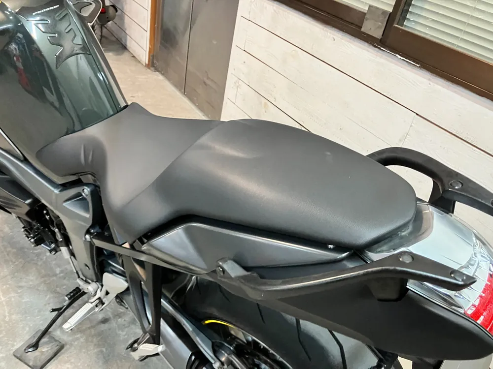 BMW K1300R Premium Line 2009, gun m, фото 5