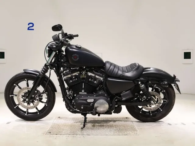 Harley-Davidson XL883N 2020, matt black, фото 2