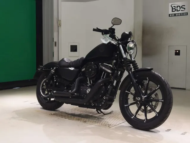Harley-Davidson XL883N 2020, matt black, фото 3