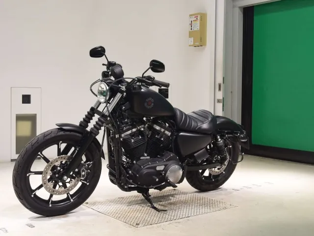 Harley-Davidson XL883N 2020, matt black, фото 4
