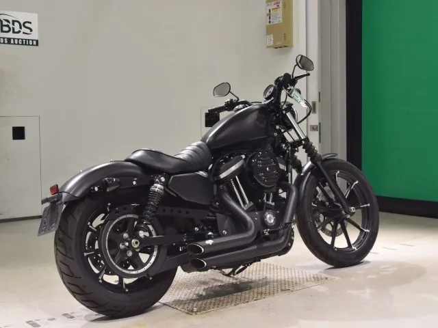 Harley-Davidson XL883N 2020, matt black, фото 5