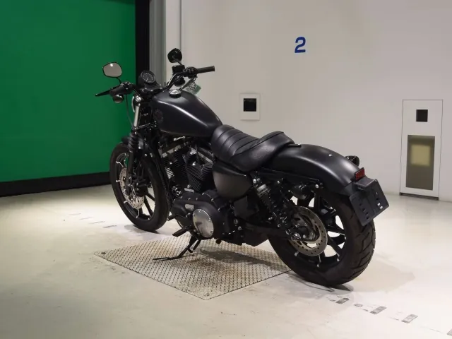 Harley-Davidson XL883N 2020, matt black, фото 6