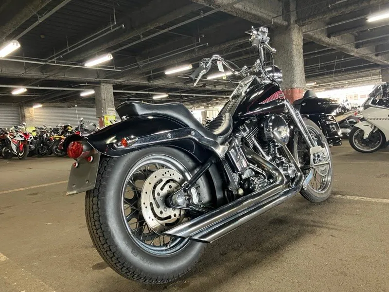Harley-Davidson Springer Softail FXSTS1450 2000, фото 9