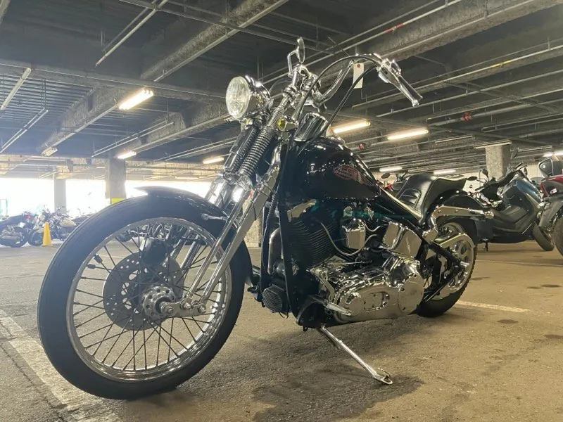 Harley-Davidson Springer Softail FXSTS1450 2000, фото 5