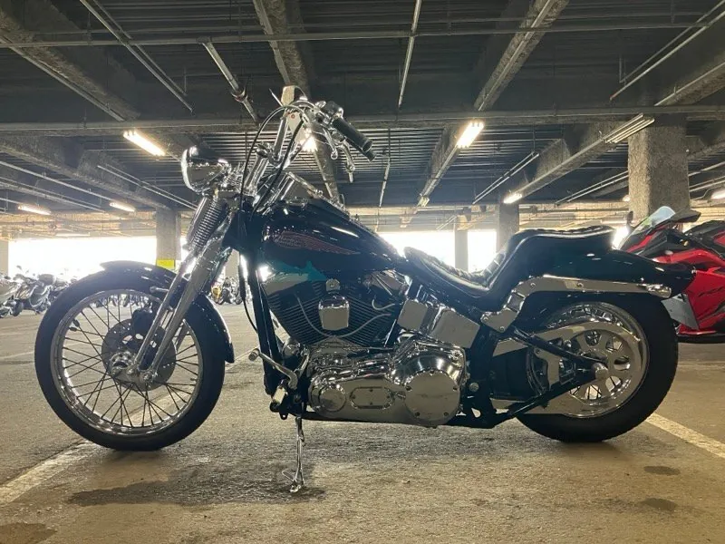 Harley-Davidson Springer Softail FXSTS1450 2000, фото 6