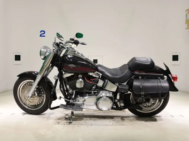 Harley-Davidson FLSTF1580 2007, чёрный, фото 2