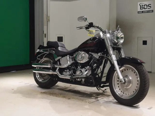 Harley-Davidson FLSTF1580 2007, чёрный, фото 3
