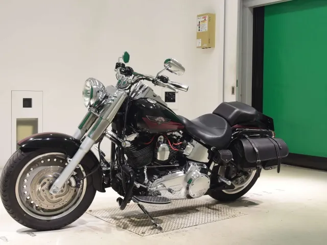 Harley-Davidson FLSTF1580 2007, чёрный, фото 4