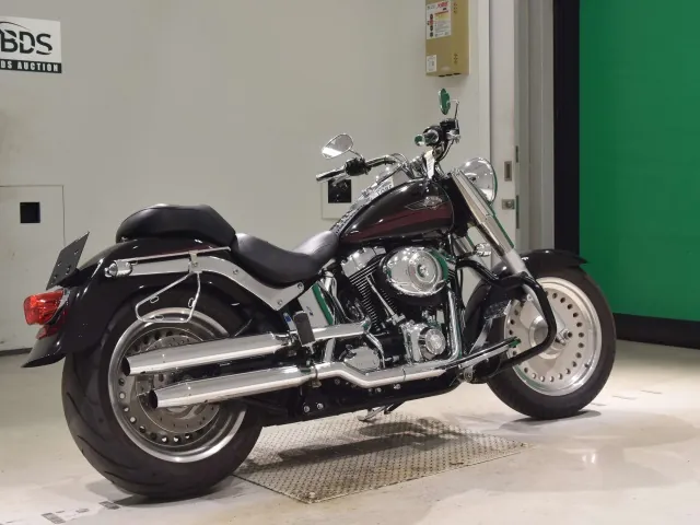 Harley-Davidson FLSTF1580 2007, чёрный, фото 5
