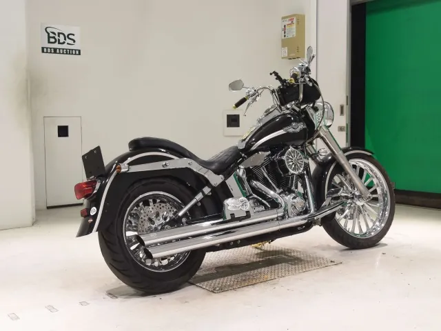 Harley-Davidson FLSTF 1450 2003, black | silver, фото 5