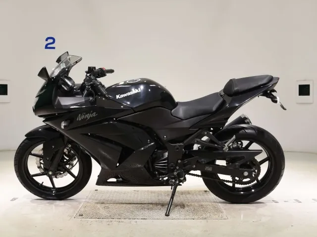 Kawasaki Ninja 250SL, чёрный, фото 2