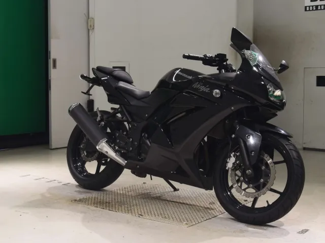 Kawasaki Ninja 250SL, чёрный, фото 3