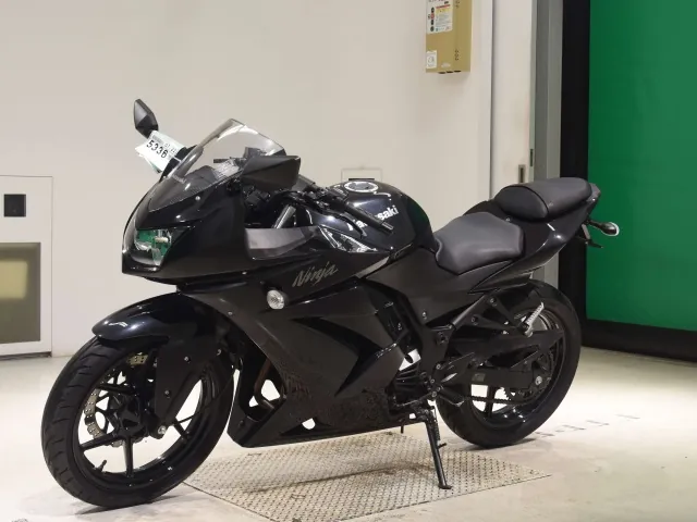 Kawasaki Ninja 250SL, чёрный, фото 4