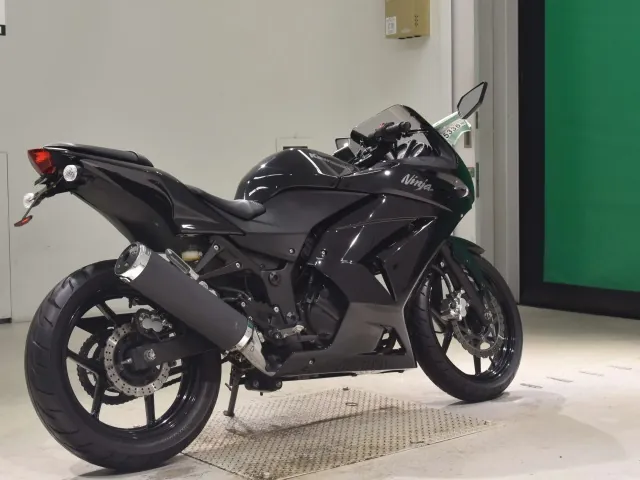 Kawasaki Ninja 250SL, чёрный, фото 5