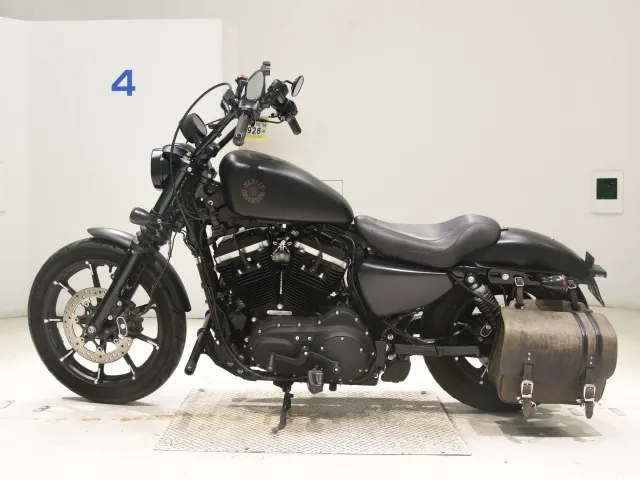 Harley-Davidson XL883N 2019, matt black, фото 2
