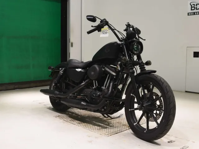 Harley-Davidson XL883N 2019, matt black, фото 3
