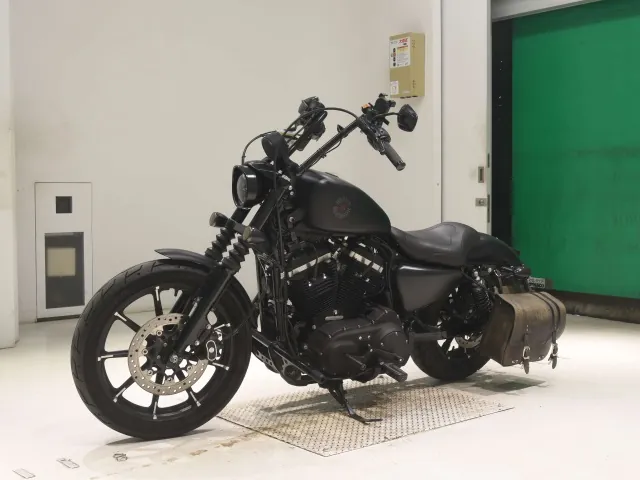 Harley-Davidson XL883N 2019, matt black, фото 4