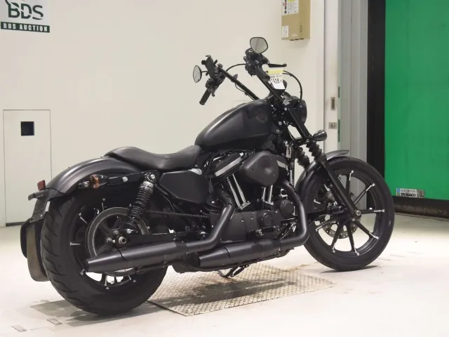 Harley-Davidson XL883N 2019, matt black, фото 5