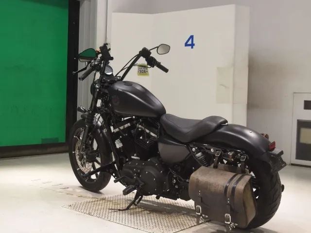 Harley-Davidson XL883N 2019, matt black, фото 6