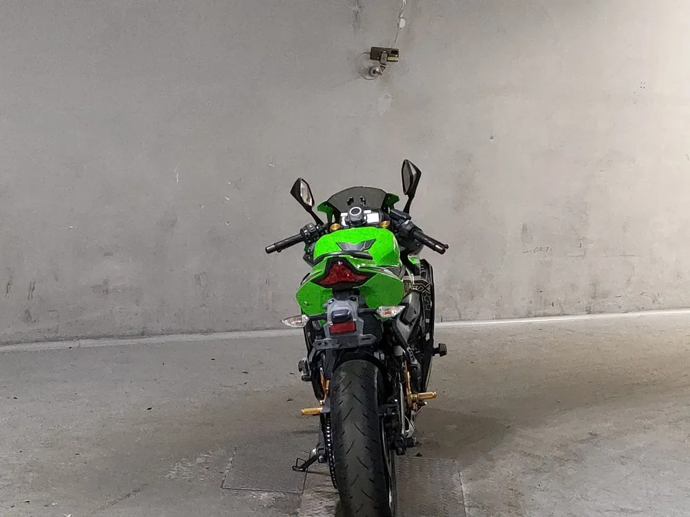 Kawasaki Ninja ZX-25R, зелёный, фото 4
