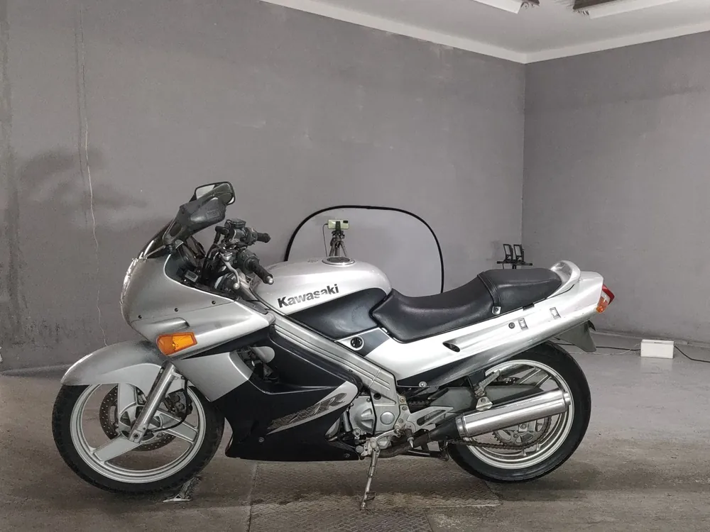 Kawasaki ZZ-R250, серебристый, фото 2