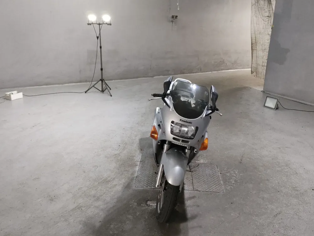 Kawasaki ZZ-R250, серебристый, фото 3