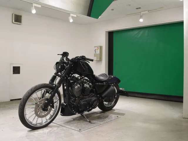 Harley-Davidson XL1200V 2013, black | purple, фото 4