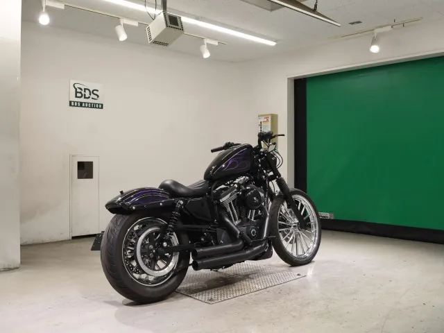 Harley-Davidson XL1200V 2013, black | purple, фото 5
