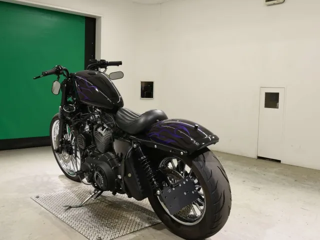 Harley-Davidson XL1200V 2013, black | purple, фото 6