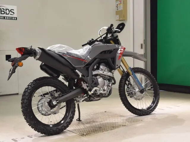 Honda CRF250 Rally, black | gray, фото 5