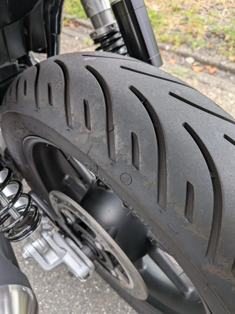 Triumph Speed Twin 900 2025, фото 9