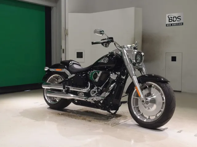 Harley-Davidson FLFB1920 2026, чёрный, фото 3