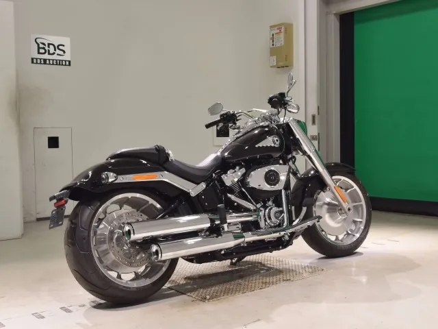Harley-Davidson FLFB1920 2026, чёрный, фото 5