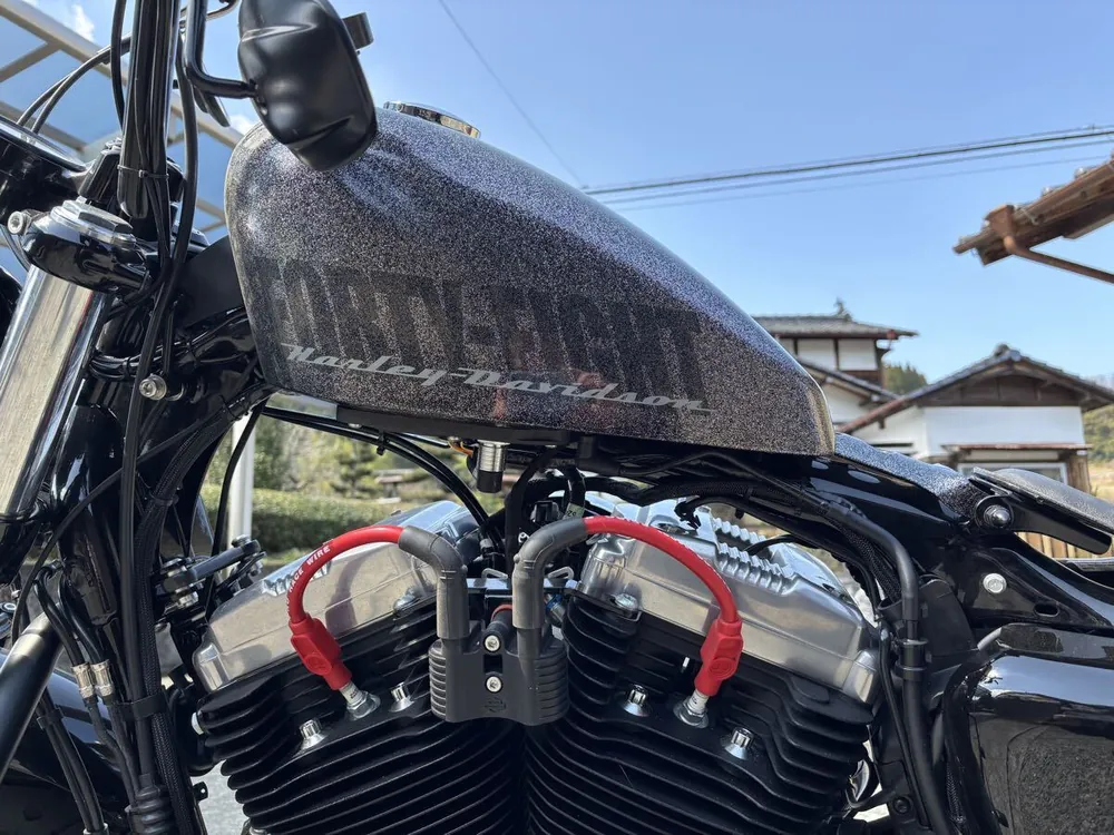 Harley-Davidson Sportster XL1200X Forty-Eight Final Edition 2022, фото 8
