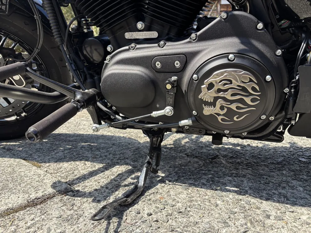 Harley-Davidson Sportster XL1200X Forty-Eight Final Edition 2022, фото 9