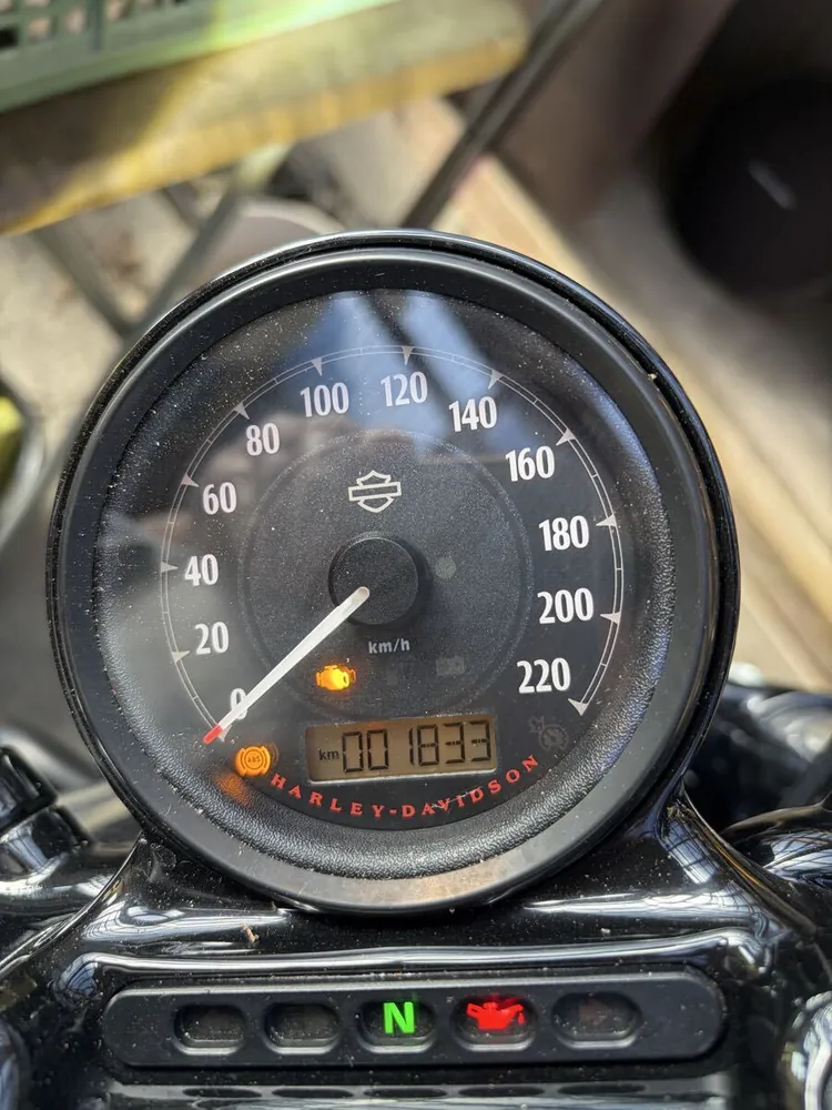 Harley-Davidson Sportster XL1200X Forty-Eight Final Edition 2022, фото 10