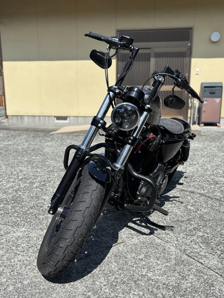 Harley-Davidson Sportster XL1200X Forty-Eight Final Edition 2022, фото 4