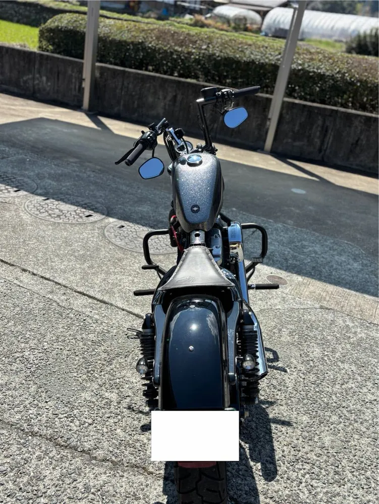 Harley-Davidson Sportster XL1200X Forty-Eight Final Edition 2022, фото 5