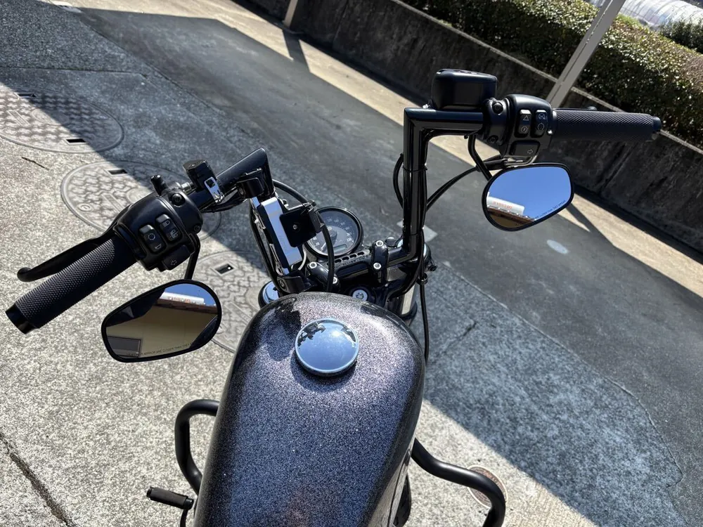 Harley-Davidson Sportster XL1200X Forty-Eight Final Edition 2022, фото 6