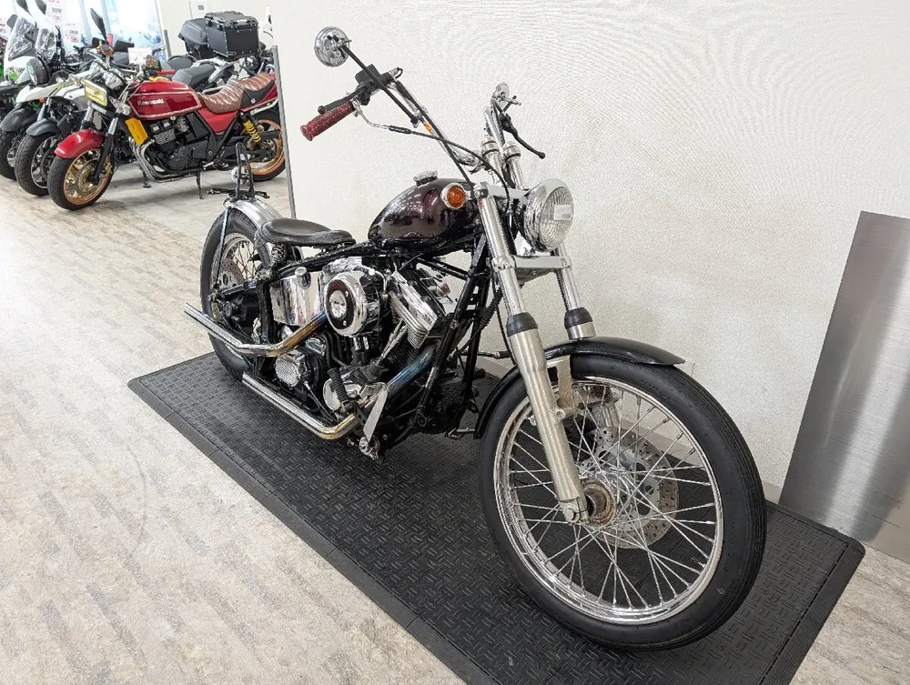 Harley-Davidson Heritage Softail Classic 1994, фото 3